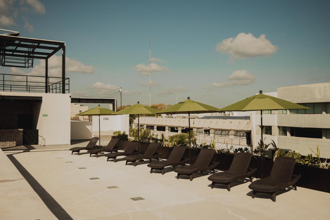 Caleta Hostel Rooftop & Pool Cancún Zewnętrze zdjęcie